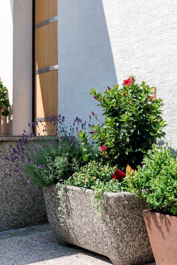 Rozna Dolina Apartment Ljubljana Buitenkant foto
